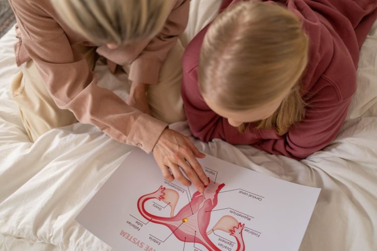 Mother and daughter studying reproductive system illustration for sex education at home. L'ovaio resta attivo dopo la menopausa: lo studio su invecchiamento e tessuti