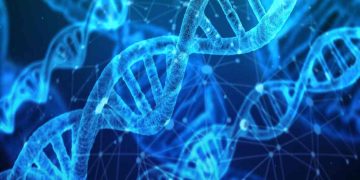 Rappresentazione del DNA