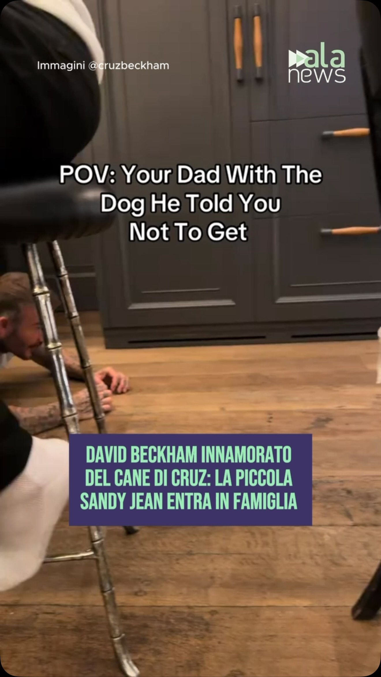 David Beckham è diventato protagonista di un video divertente pubblicato su Tik…