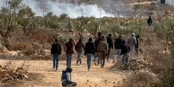 Cisgiordania, arrestati dieci sospetti per le aggressioni durante la raccolta delle olive. Tra le vittime la fotogiornalista Heidi Levine