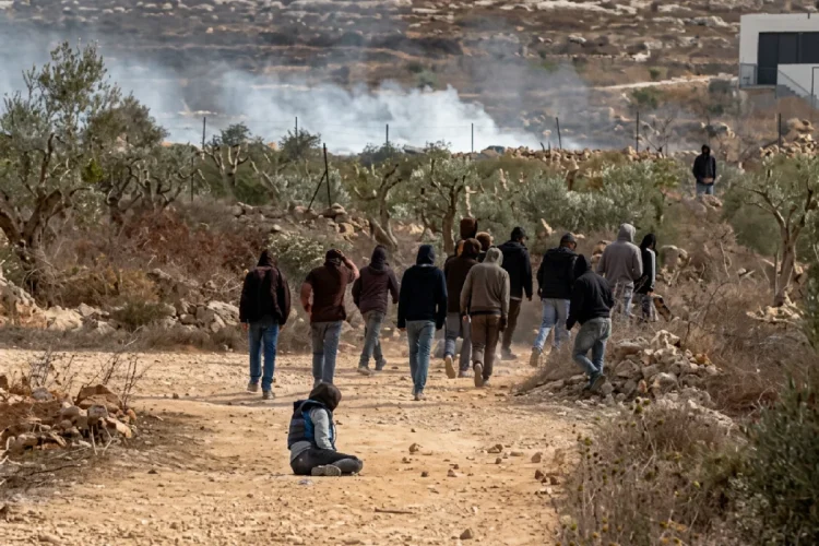 Cisgiordania, arrestati dieci sospetti per le aggressioni durante la raccolta delle olive. Tra le vittime la fotogiornalista Heidi Levine