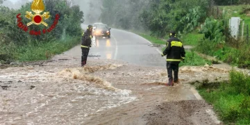 Jesolo, albero crolla sull'auto: morto un militare 46enne, indaga la Procura
