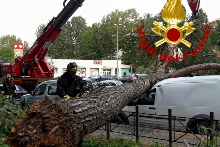 Roma, pioggia e vento hanno richiesto circa 120 interventi dei vigili del fuoco